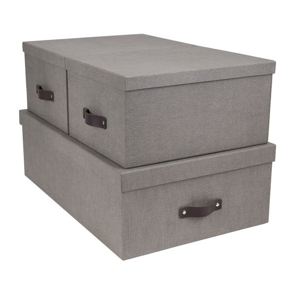 Кутии за съхранение с капак в комплект от 3 Inge - Bigso Box of Sweden