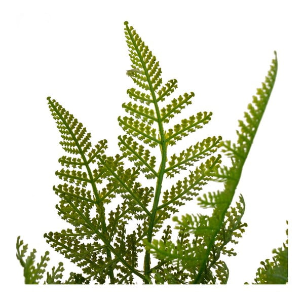 Изкуствен папрат (височина 45 cm) – Casa Selección-image-2