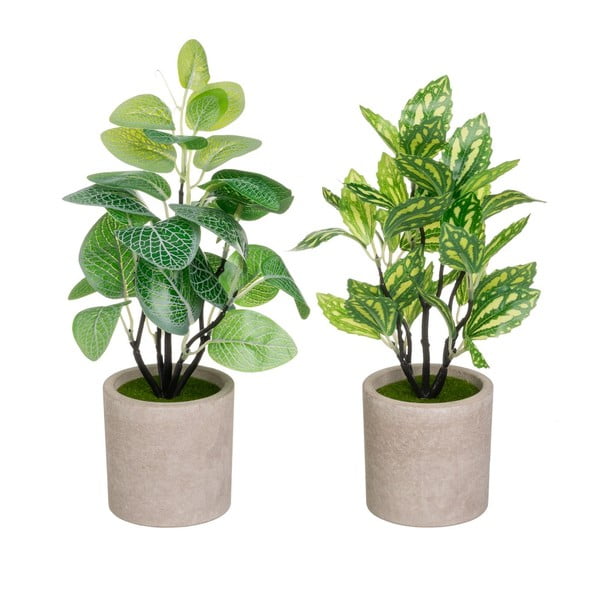 Изкуствени растения в комплект от 2 бр. (височина 28 cm) – Casa Selección