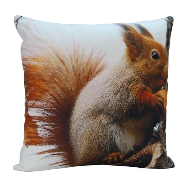 Polštář Squirrel Ted, 45x45 cm