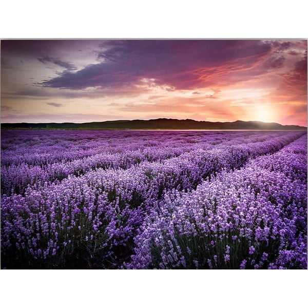Живопис 100x70 cm Lavender Field - Wallity