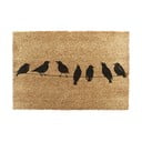 Изтривалка от кокосови влакна 40x60 cm Birds On a Wire – Artsy Doormats