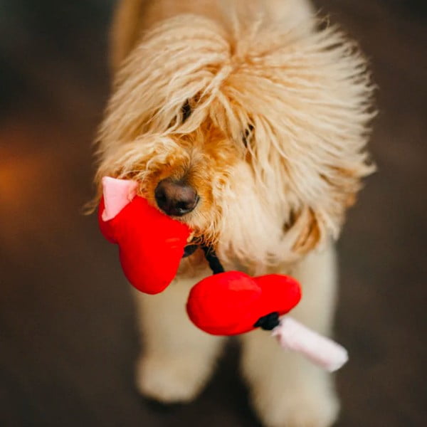 Играчка за куче Heart - P.L.A.Y.-image-1