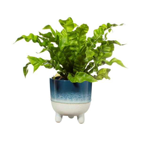 Синя саксия за цветя Bohemian Home , ø 11,7 cm Mojave - Sass & Belle-image-2