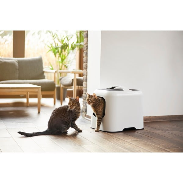 Бяла котешка тоалетна 40x51 cm Biala - Rotho-image-4