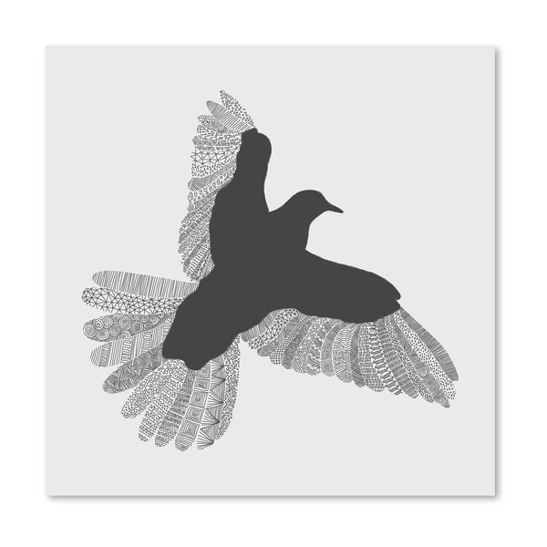 Plakát Bird Grey od Florenta Bodart, 30x30 cm