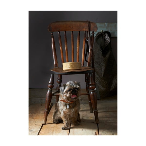 Каменна купа за кучета , ø 25 cm Pet Cane Dog - Mason Cash-image-3