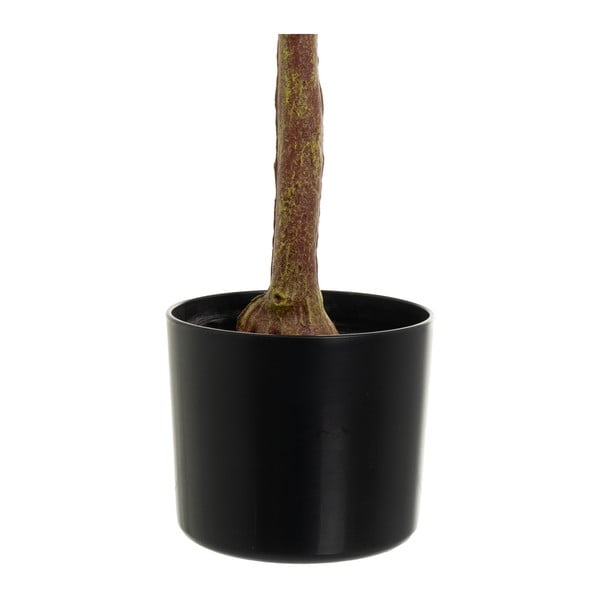 Изкуствено цвете Eucalyptus - Casa Selección-image-3