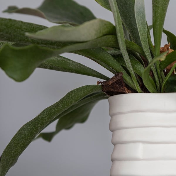 Бяла порцеланова ръчно изработена ваза Ribbon - Mette Ditmer Denmark-image-4