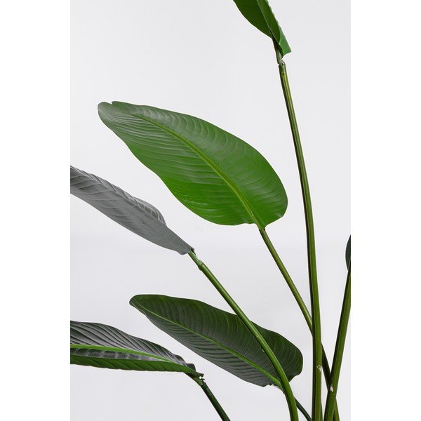Изкуствено цвете (височина 185 cm) Sterilizia – Bizzotto-image-1