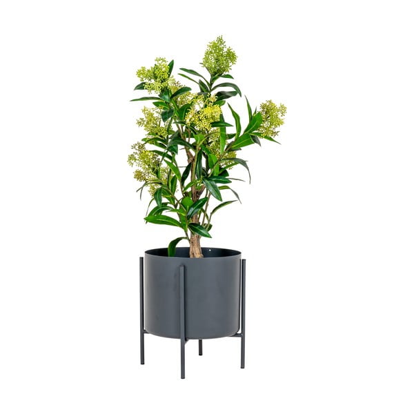 Изкуствено растение Skimmia - House Nordic-image-1