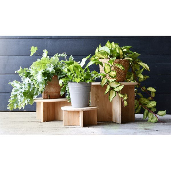 Бамбукова стойка за цветя ø 25 cm (височина 19,5 cm) – Esschert Design-image-2
