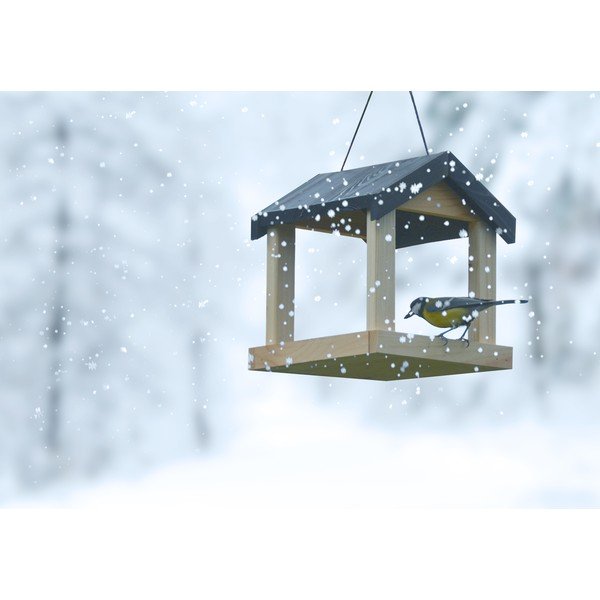 Дървена хранилка за птици - Esschert Design-image-3