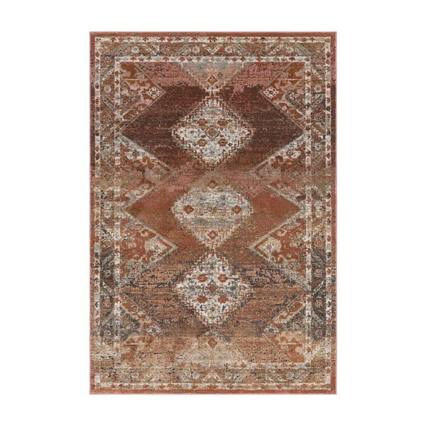 Червено-кафяв килим 290x195 cm Zola - Asiatic Carpets