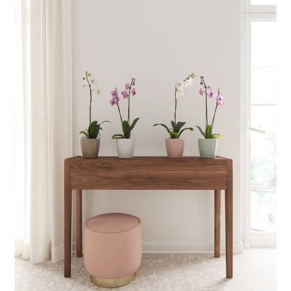 Керамична саксия за цветя ø 14 cm Thalia – Artevasi-image-3