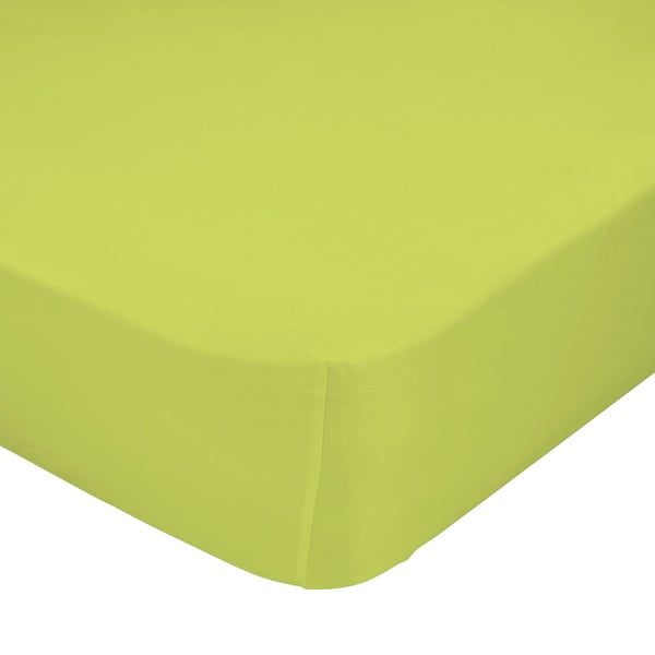 Зелен ластичен чаршаф от чист памук , 90 x 200 cm Basic - Happy Friday Basic