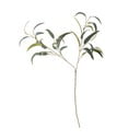 Изкуствен евкалипт (височина 101 cm) – Bloomingville