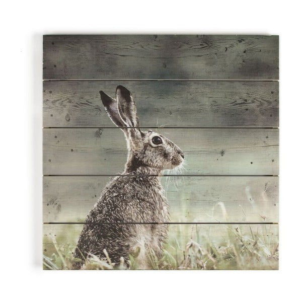 Дървена картина на заек, 50 x 50 cm - Graham & Brown