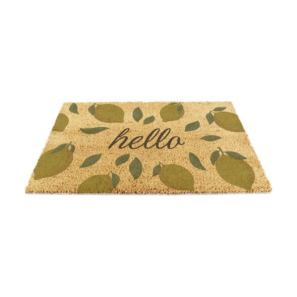 Изтривалка от кокосови влакна 40x60 cm Hello Lemons – Artsy Doormats