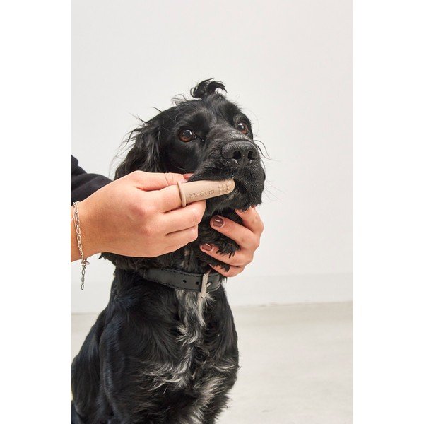 Четки за зъби за кучев комплект Dito – MiaCara-image-3