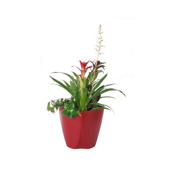 Червена саксия Camay, ø 18,5 cm - Plastia-image-1