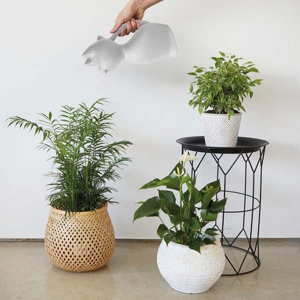 Пластмасов съд за поливане 2 л Meow - Balvi-image-1