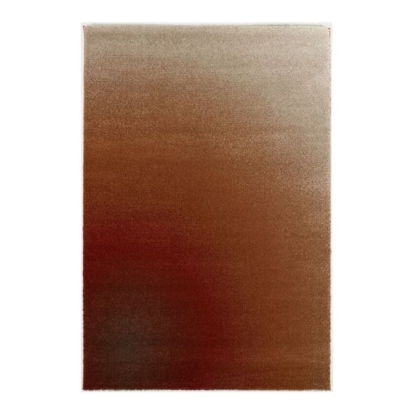Hnědý koberec Calista Rugs Swamp, 200 x 290 cm