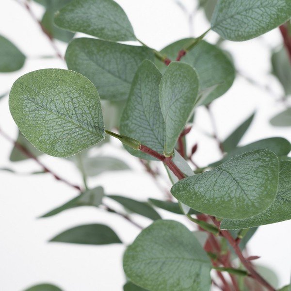 Изкуствен евкалипт (височина 180 cm) Eucalyptus – Ixia-image-1