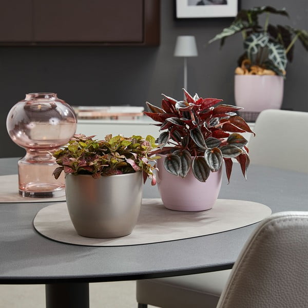 Керамичен съд ø 24 cm Basel Elegance - Big pots-image-1