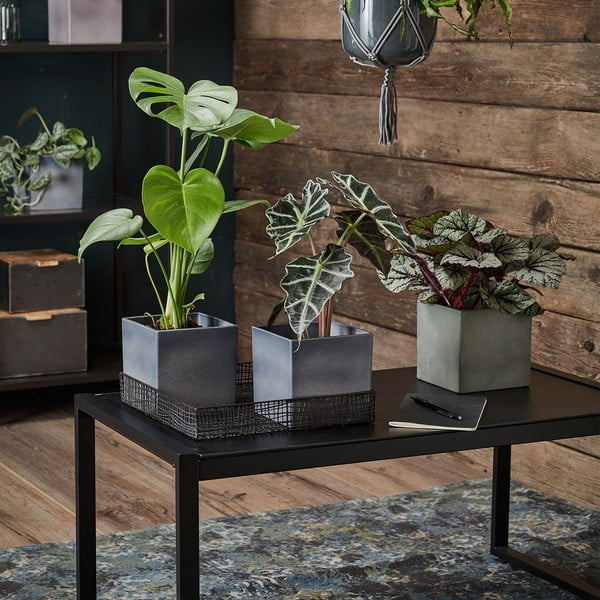 Лилава керамична саксия Latina, 15 x 15 cm - Big pots-image-1