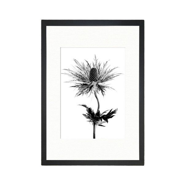 Плакат 24x29 cm Thistle Vibes - Tablo Center