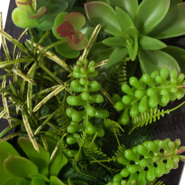 Sada 2 závěsných dekorací ve tvaru rostoucího kaktusu Unimasa-image-3