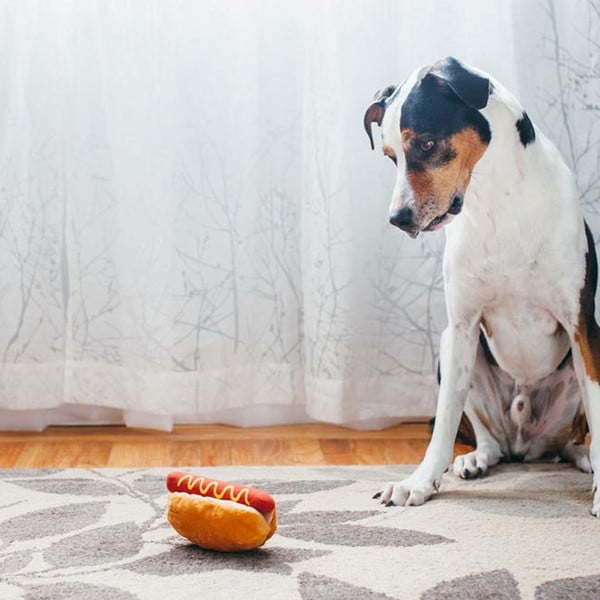 Кучешка играчка Hot Dog - P.L.A.Y.-image-1
