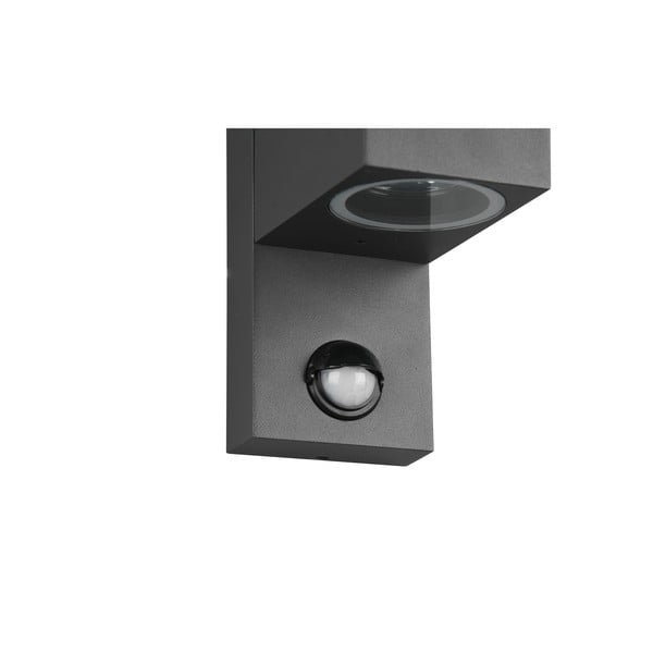 Стенно външно осветително тяло (височина 22 cm) Roya - Trio-image-4