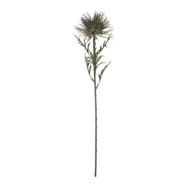 Зелено изкуствено цвете Ego Dekor Protea, височина 71 cm - Ego Dekor