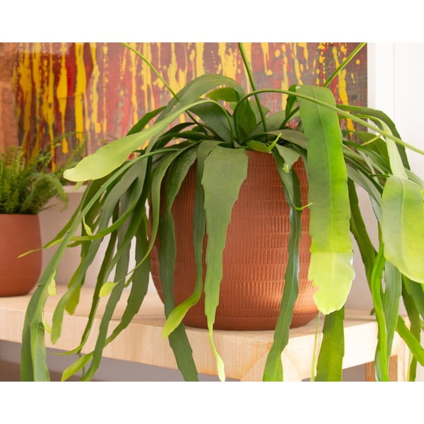 Керамична ръчно изработена саксия за цветя ø 16 cm Aura – Artevasi-image-1