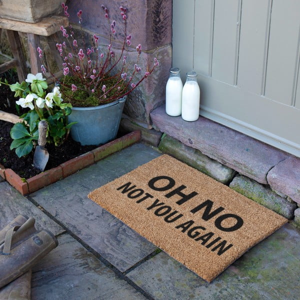 Изтривалка от кокосови влакна 40x60 cm Not You Again – Artsy Doormats-image-3