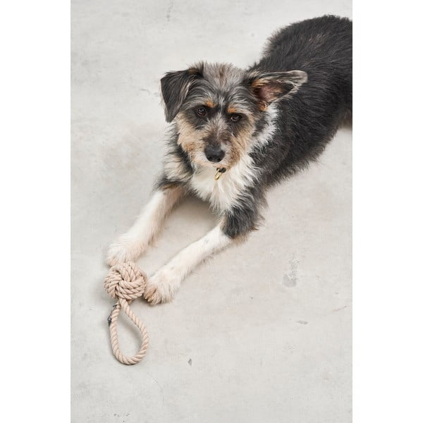 Играчка за куче Nodo Greige – MiaCara-image-2