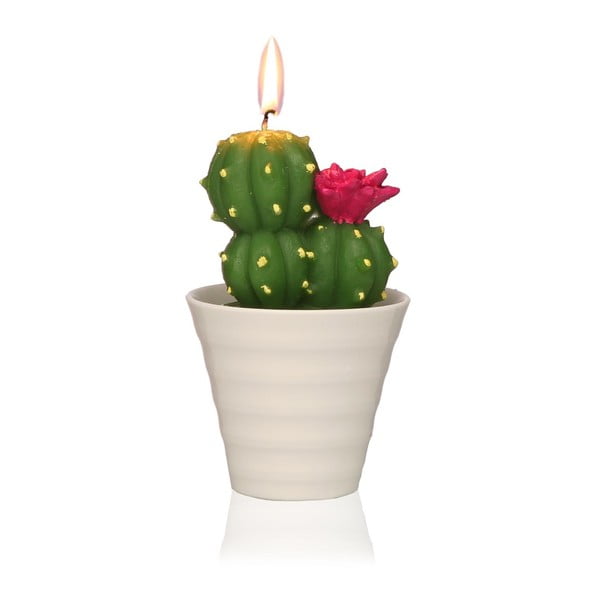 Декоративна кактусова свещ Cactus Fila - Versa