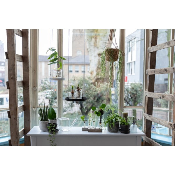 Стъклена лейка за цветя Clear, 1,5 л - Esschert Design-image-4