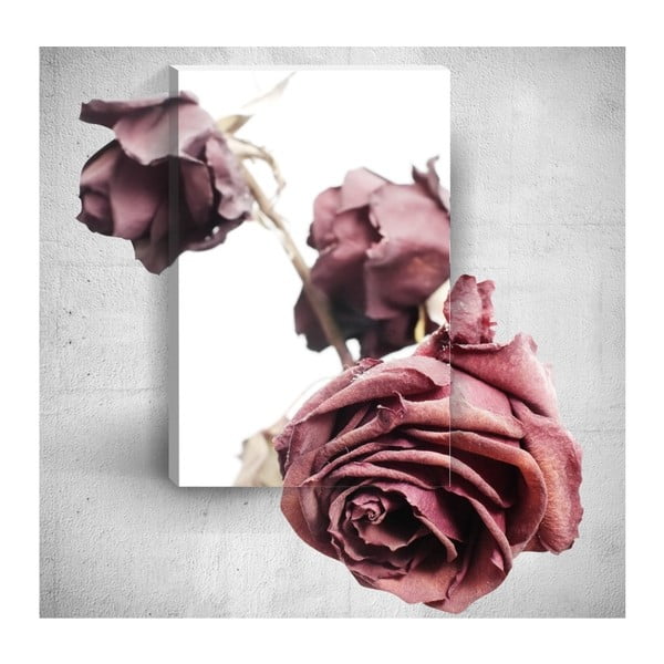 Nástěnný 3D obraz Mosticx Old Roses, 40 x 60 cm