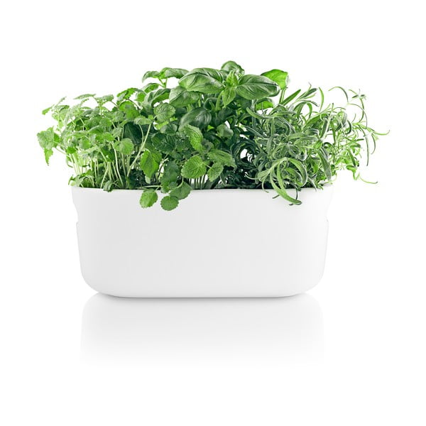 Бяла самонапояваща се саксия - Eva Solo-image-4