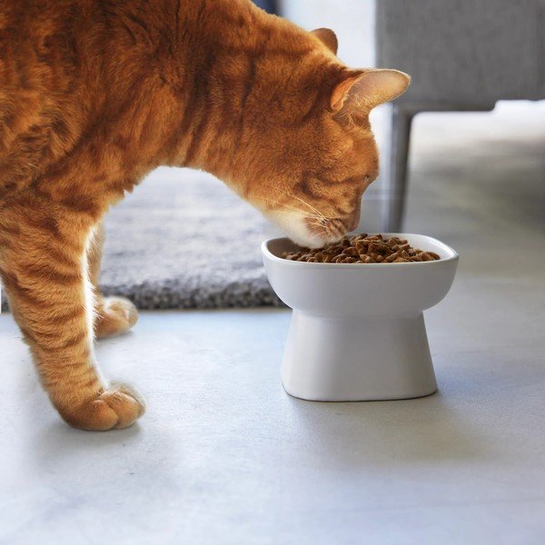 Керамична купа за всички любимци Tower – YAMAZAKI-image-1