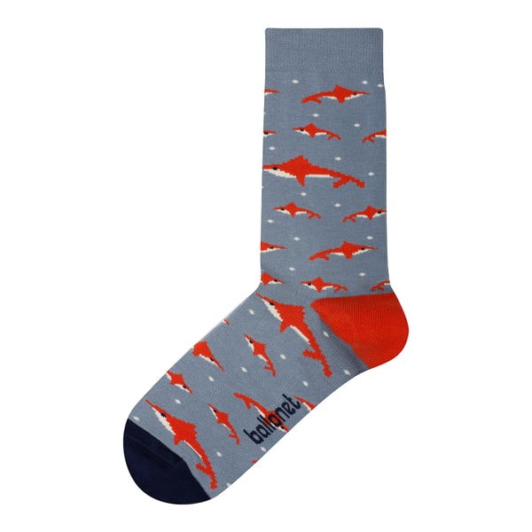 Чорапи от акула, размер 41 - 46 - Ballonet Socks
