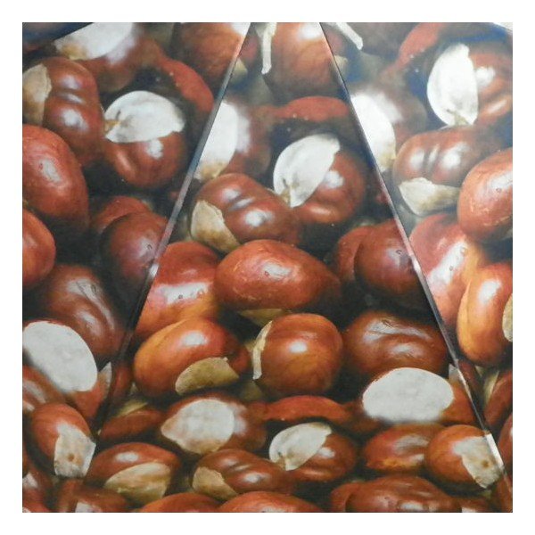 Deštník Chestnust All Over-image-3