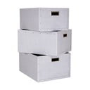 Светлосиви картонени кутии за съхранение в комплект от 3 броя Ture - Bigso Box of Sweden