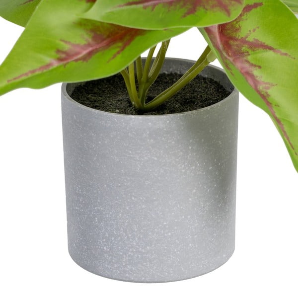 Изкуствено растение (височина 20 cm) Syngonium – Ixia-image-1