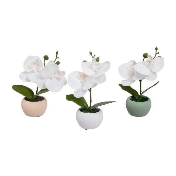 Изкуствени растения в комплект от 3 бр. (височина 15 cm) Orchid – Casa Selección