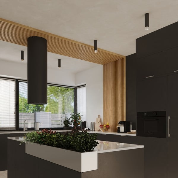 Осветително тяло за таван в черен и сребрист цвят Crown – Sollux-image-4