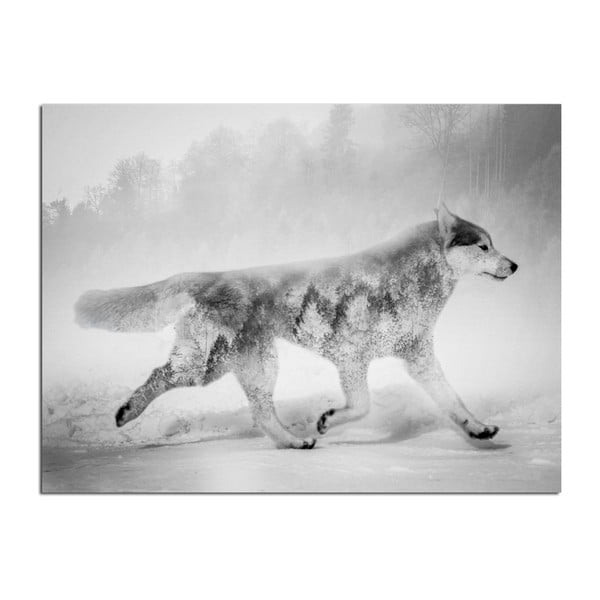 Живопис на платно Nordic , 75 x 100 cm Wolf - Styler